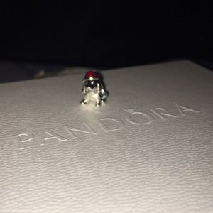 Pandora Charm